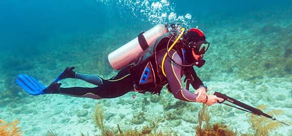 Shark Quest Dive Shop