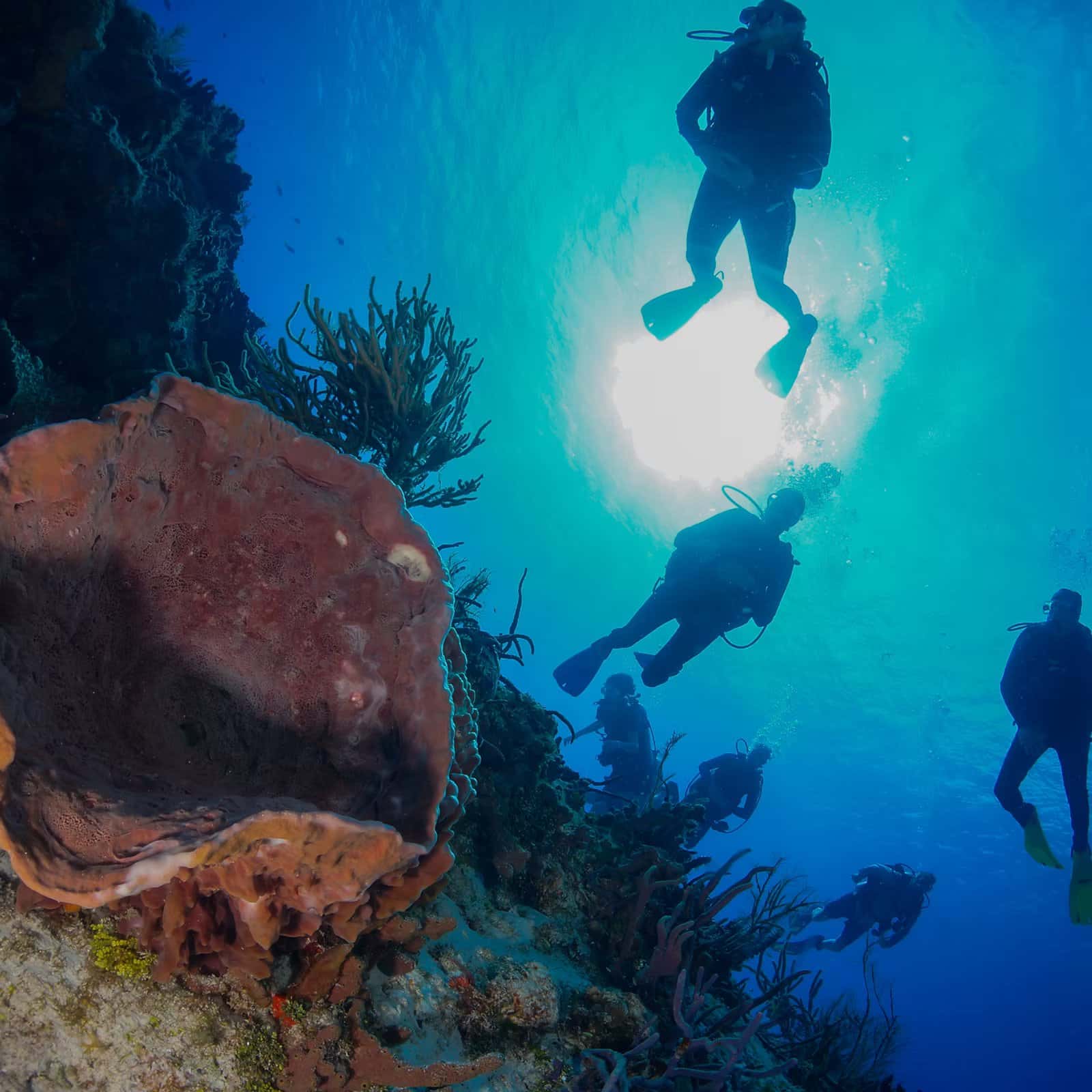 Divepoint Scuba & Adventure Center