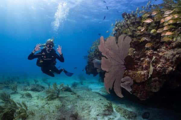 Mexico Divers — photo 2