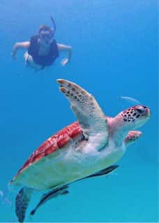 Barbados Blue Watersports — photo 2