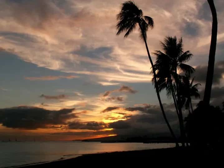 Looe Key Reef Resort