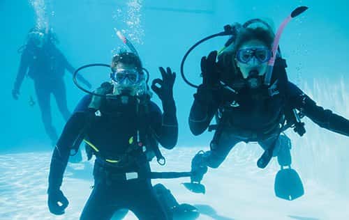 Gigglin' Marlin Dive & Swim