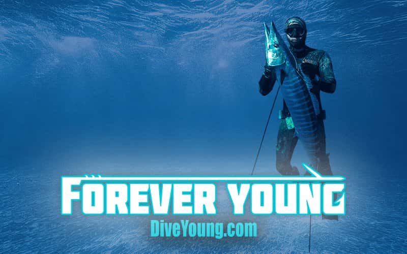 Forever Young Charter Company