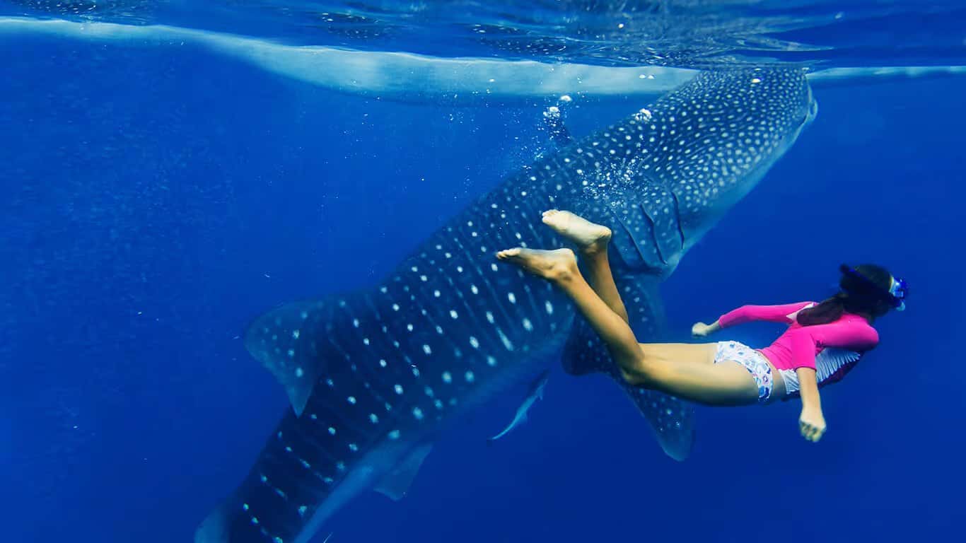 Emilio Dive Center — photo 3