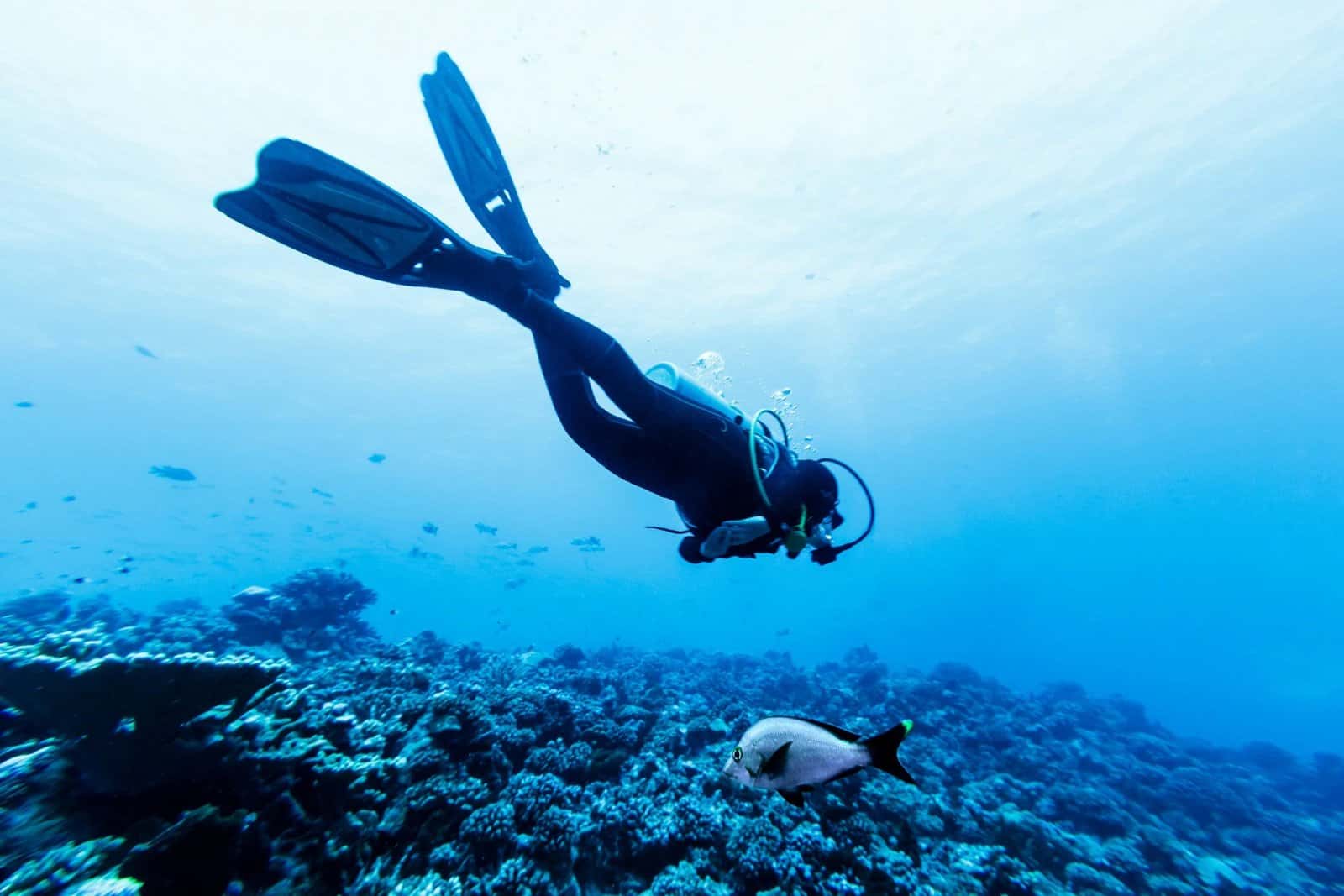 Mystery Lake Scuba Park