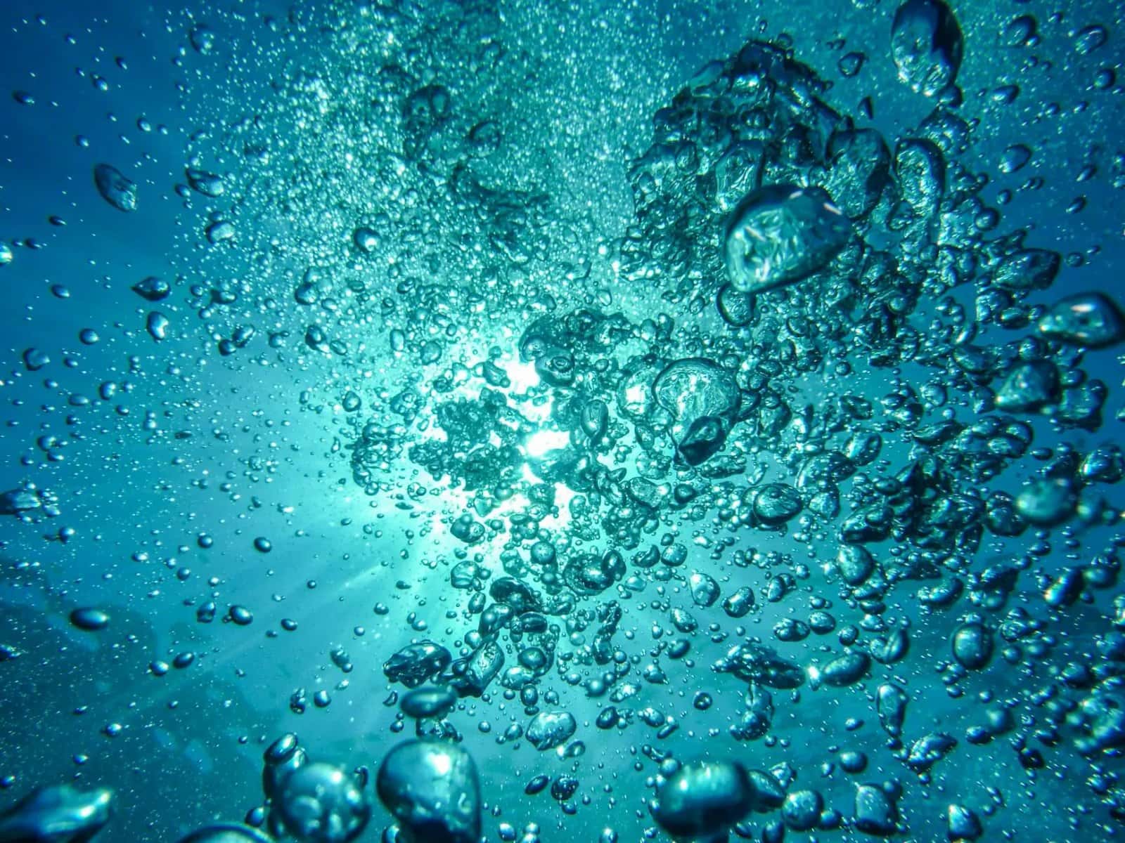 Bubbles Up Charters