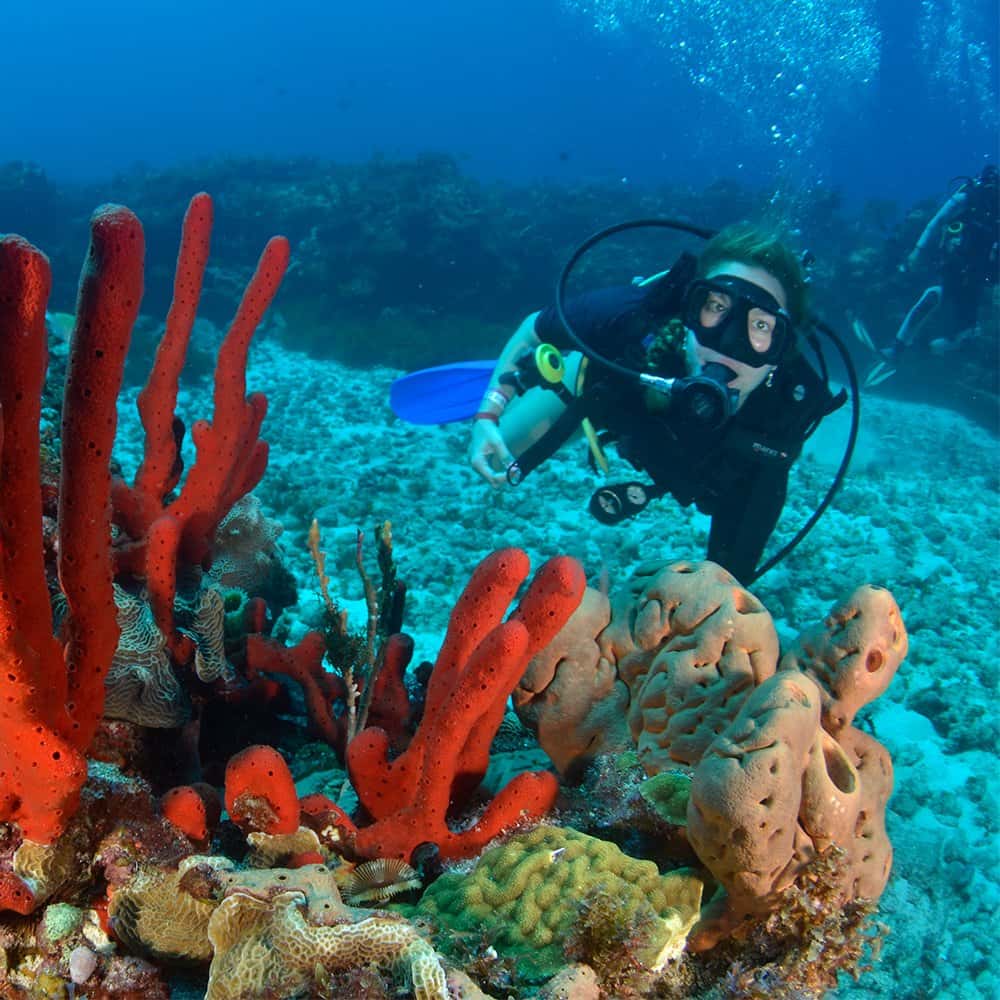 Scuba Cancun
