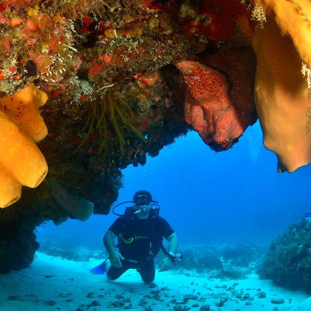 Scuba Cancun — photo 3