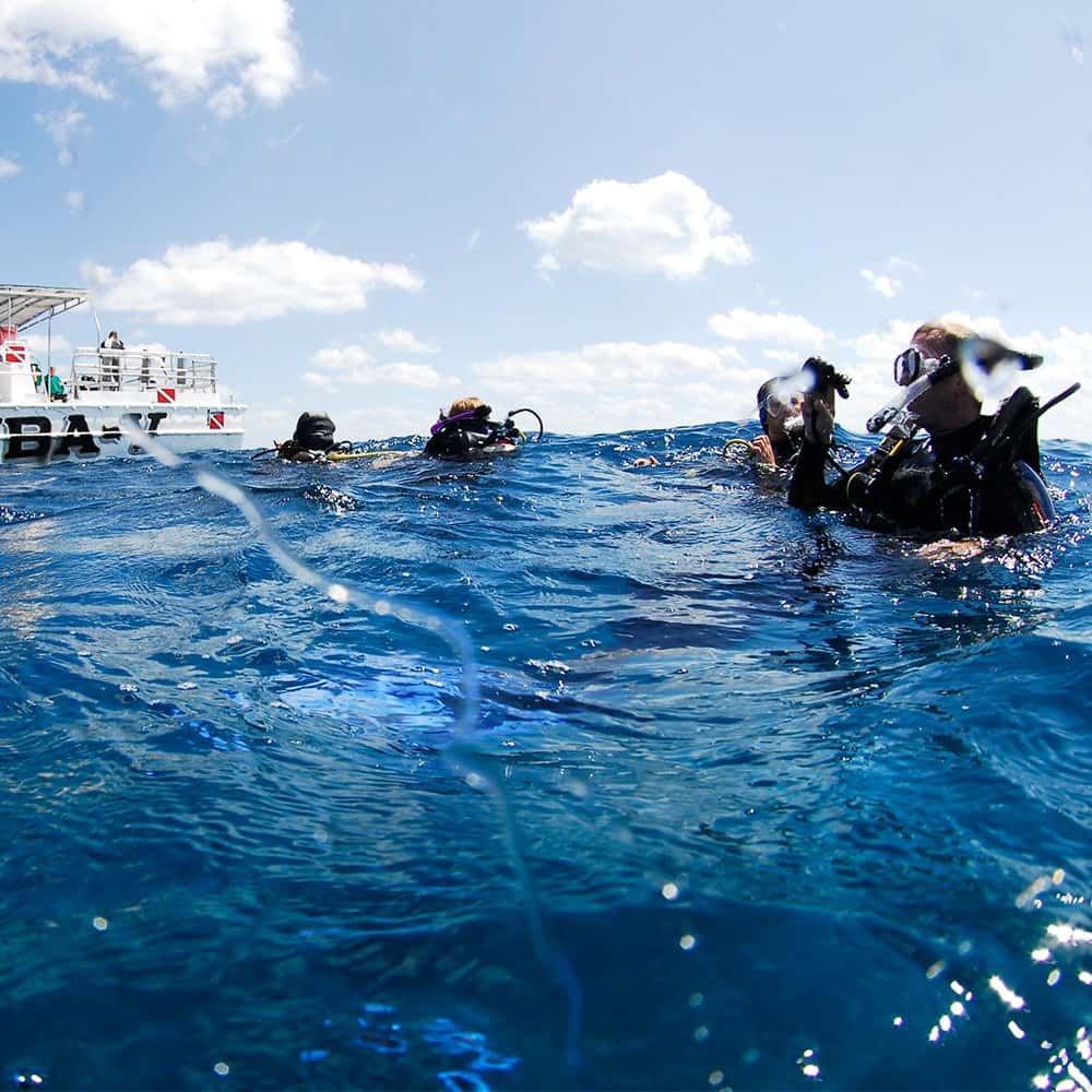 Scuba Cancun — photo 4