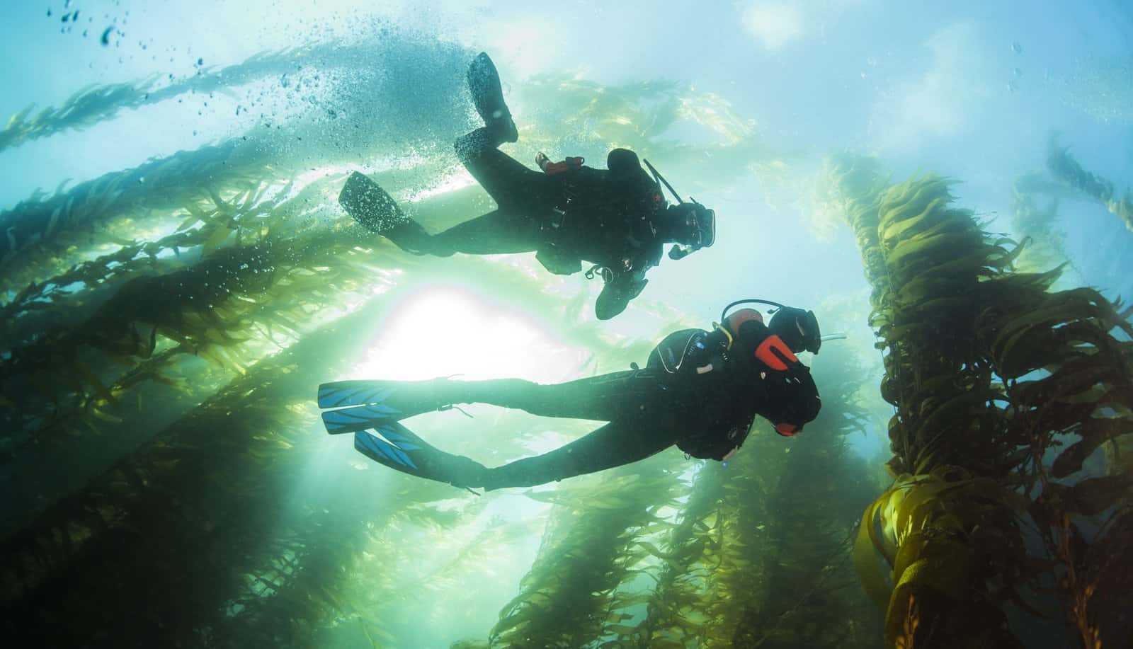 Ventura Dive & Sport — photo 2