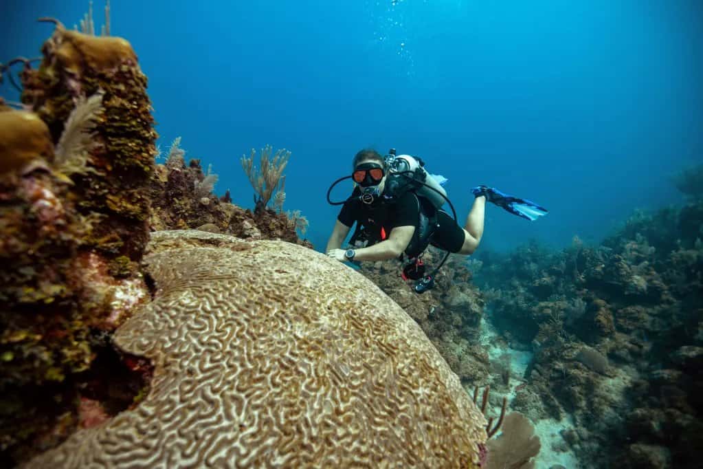 Leisure Boutique Divers