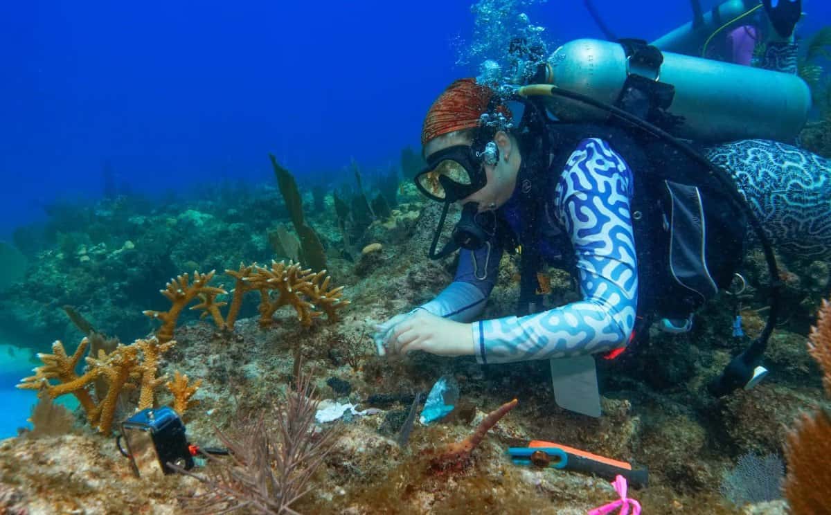 Key Dives
