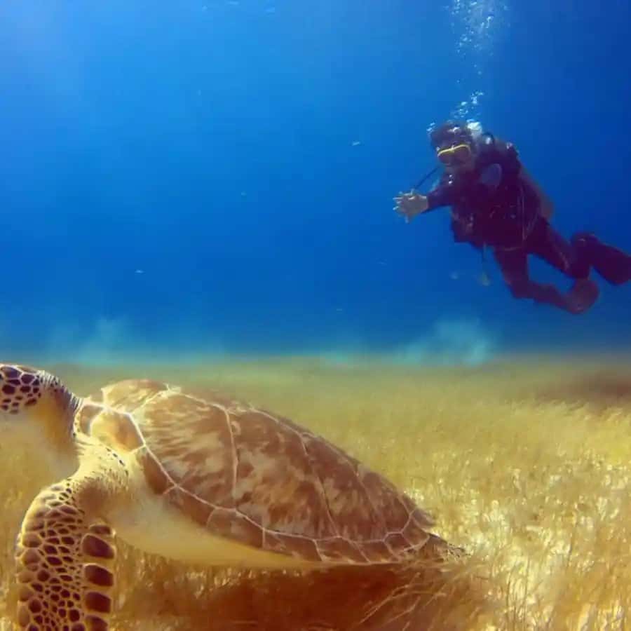 Scuba10 — photo 5