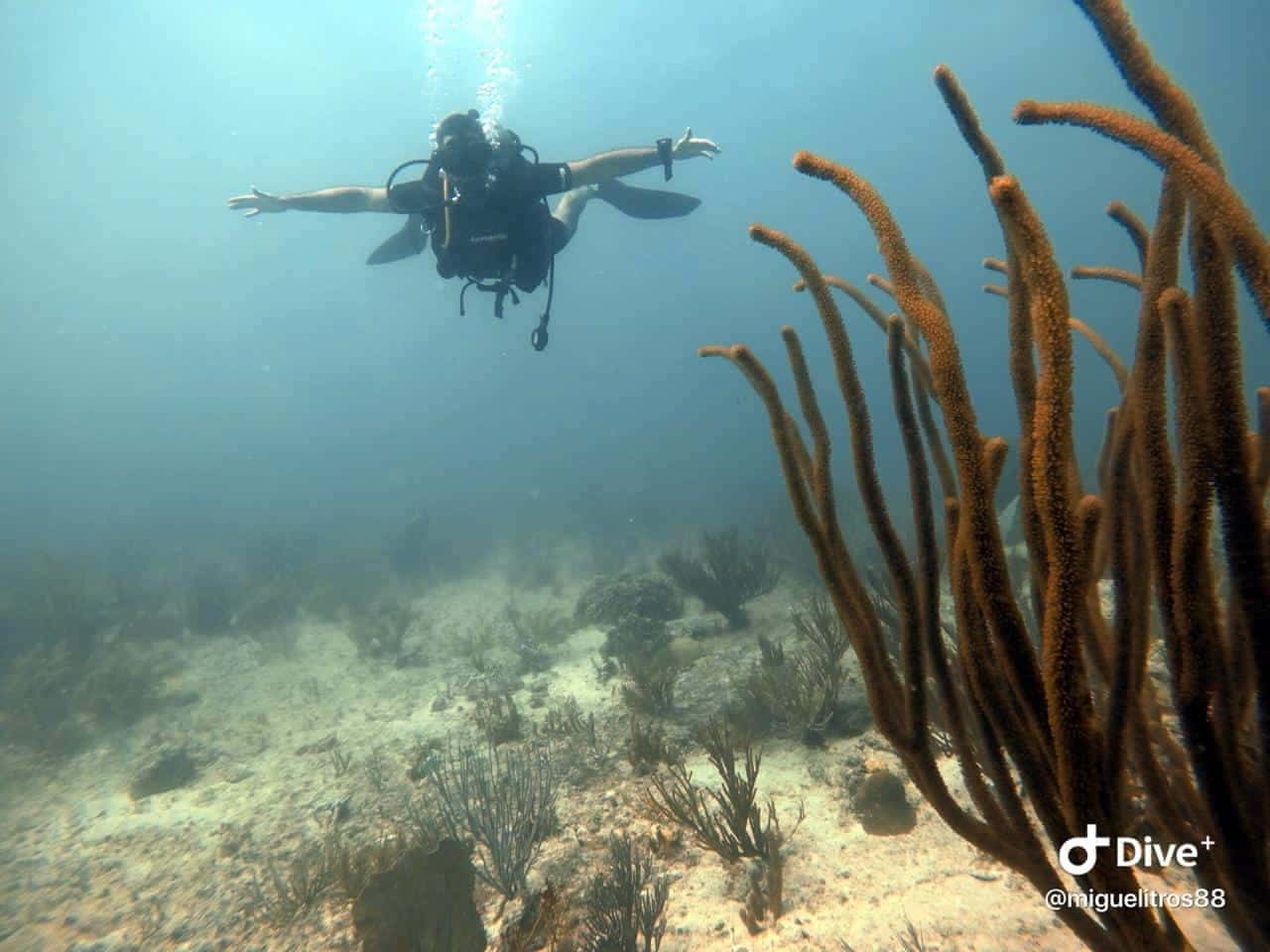 Scuba10