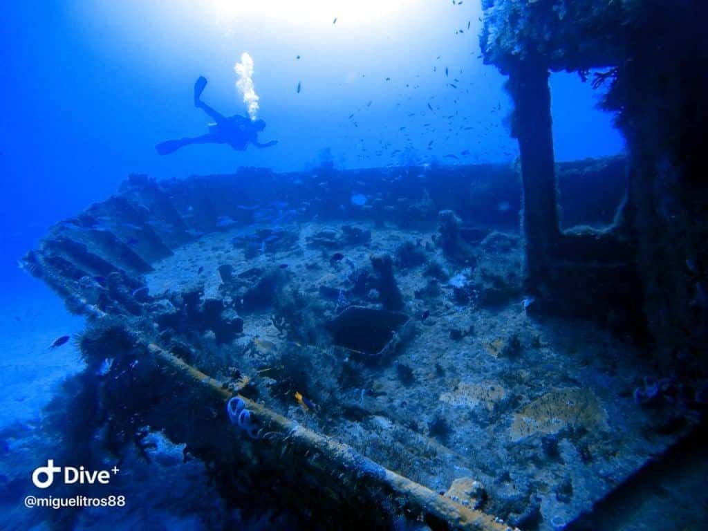Scuba10 — photo 2