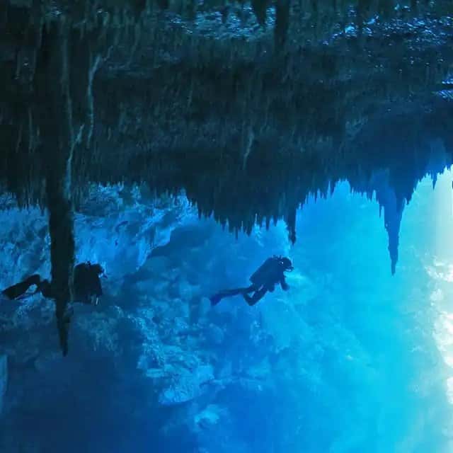 Scuba10 — photo 4