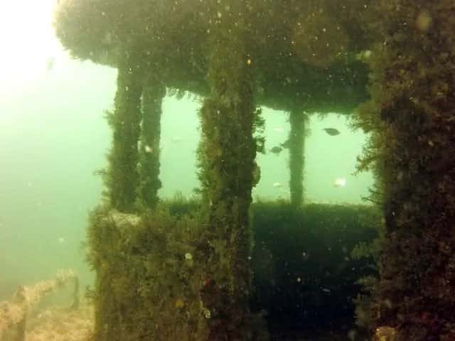 Carolina Dive Center — photo 3