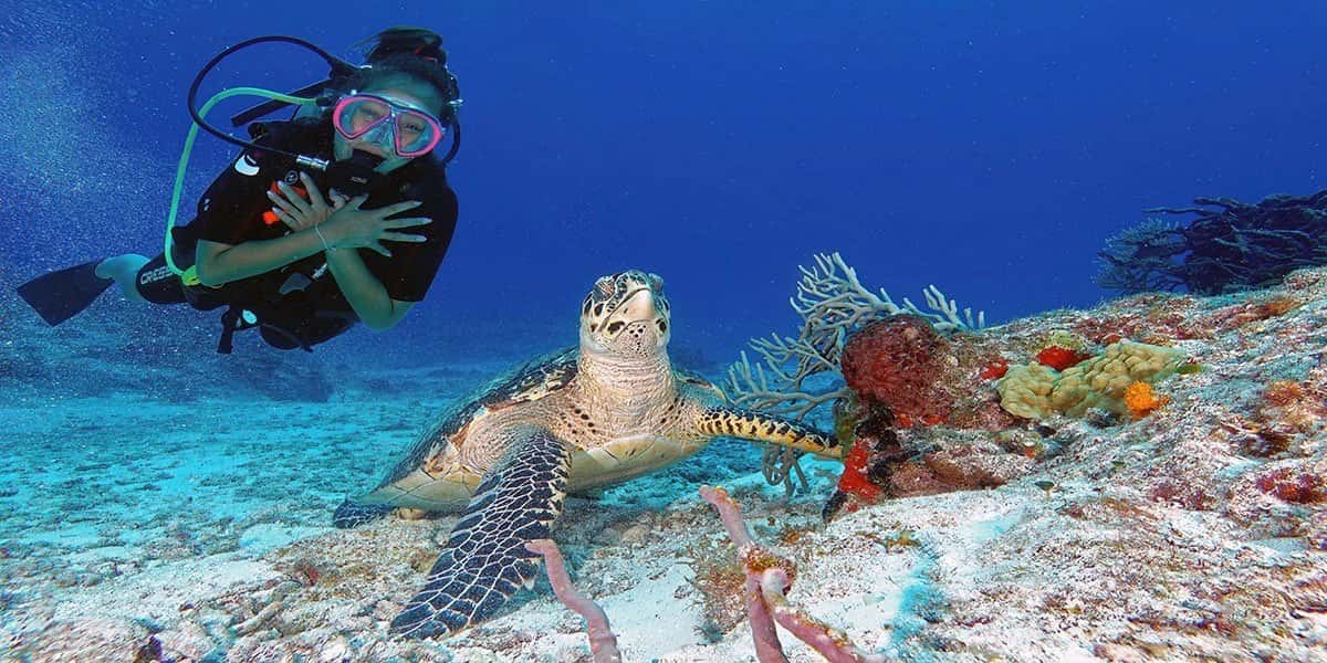Jungle Divers — photo 4