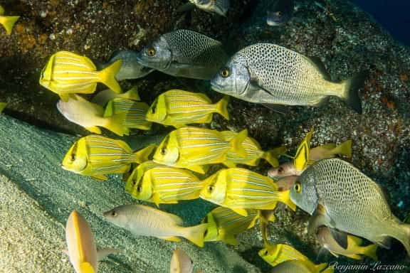 Cabo Private Guide — photo 4