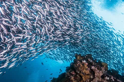 Cabo Private Guide — photo 5