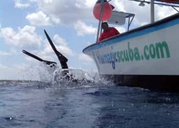 Blue Magic Scuba