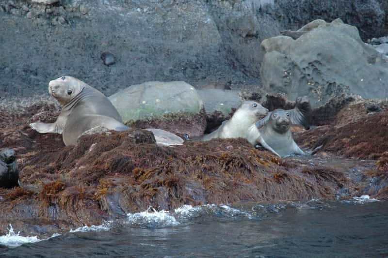 Islander Charters — photo 5