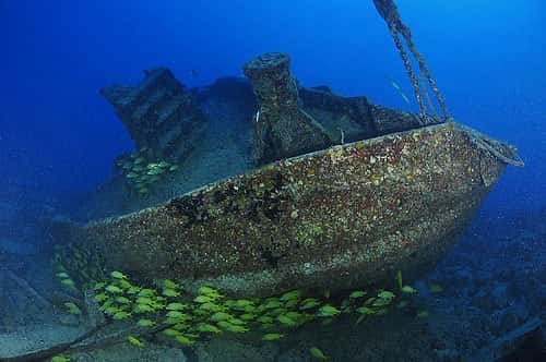 Lost Reef Adventures — photo 5