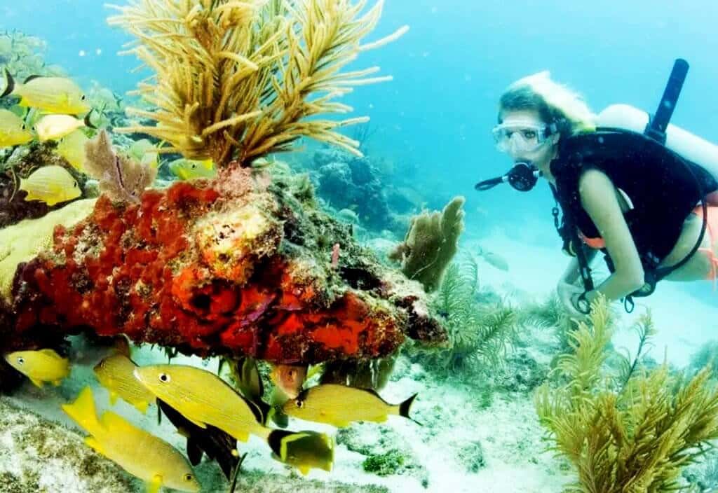 Lost Reef Adventures — photo 4