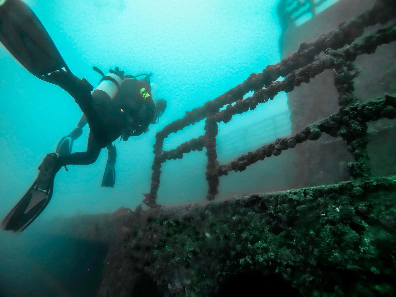 DiveMaster Key West — photo 5