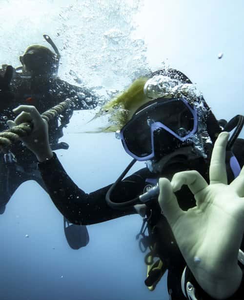 DiveMaster Key West — photo 3