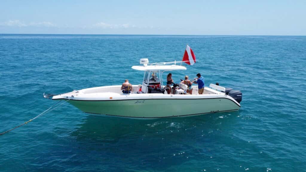 DiveMaster Key West — photo 4