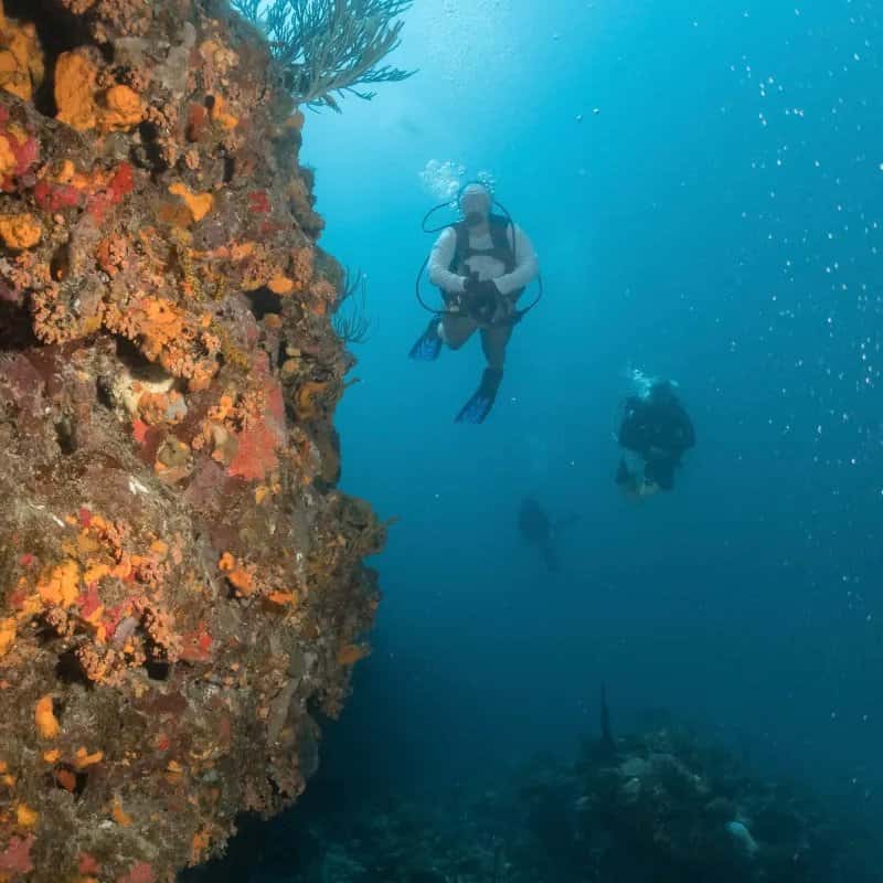 Paradise Scuba & Snorkeling Center