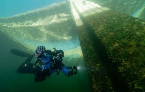 Eight Diving
