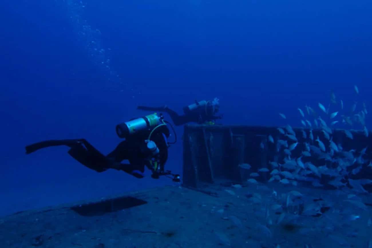 Parrot Island Scuba Adventures — photo 3