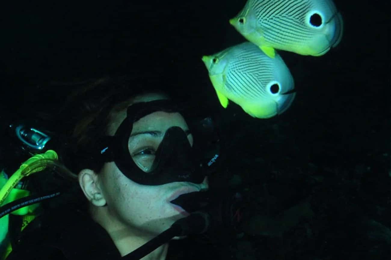 Parrot Island Scuba Adventures — photo 4