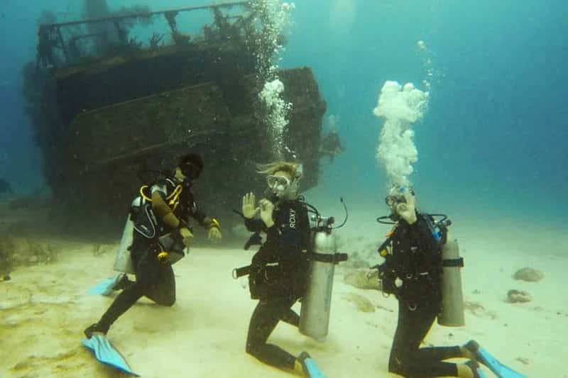 Parrot Island Scuba Adventures — photo 2