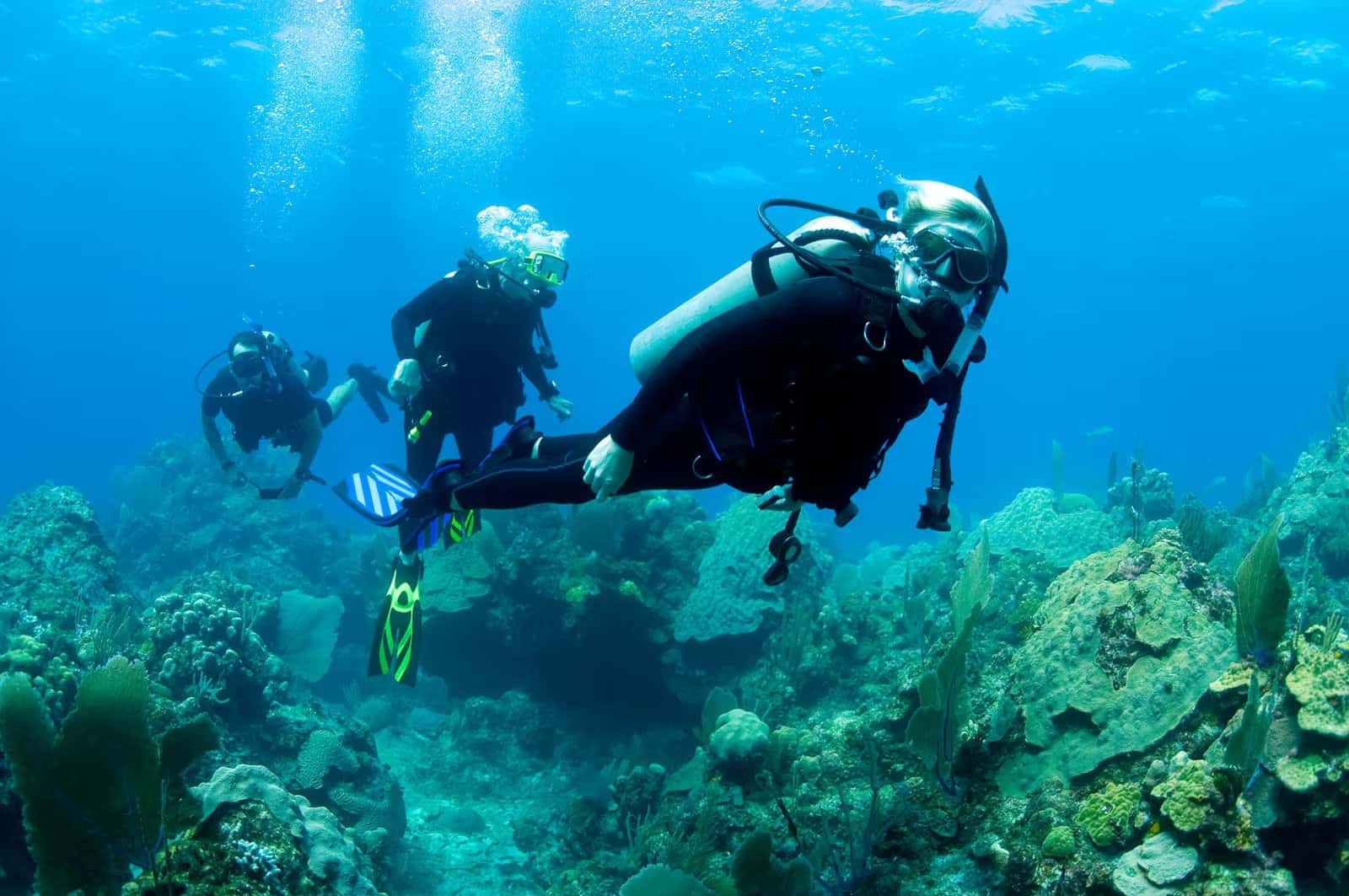 Mexicandiver Cozumel