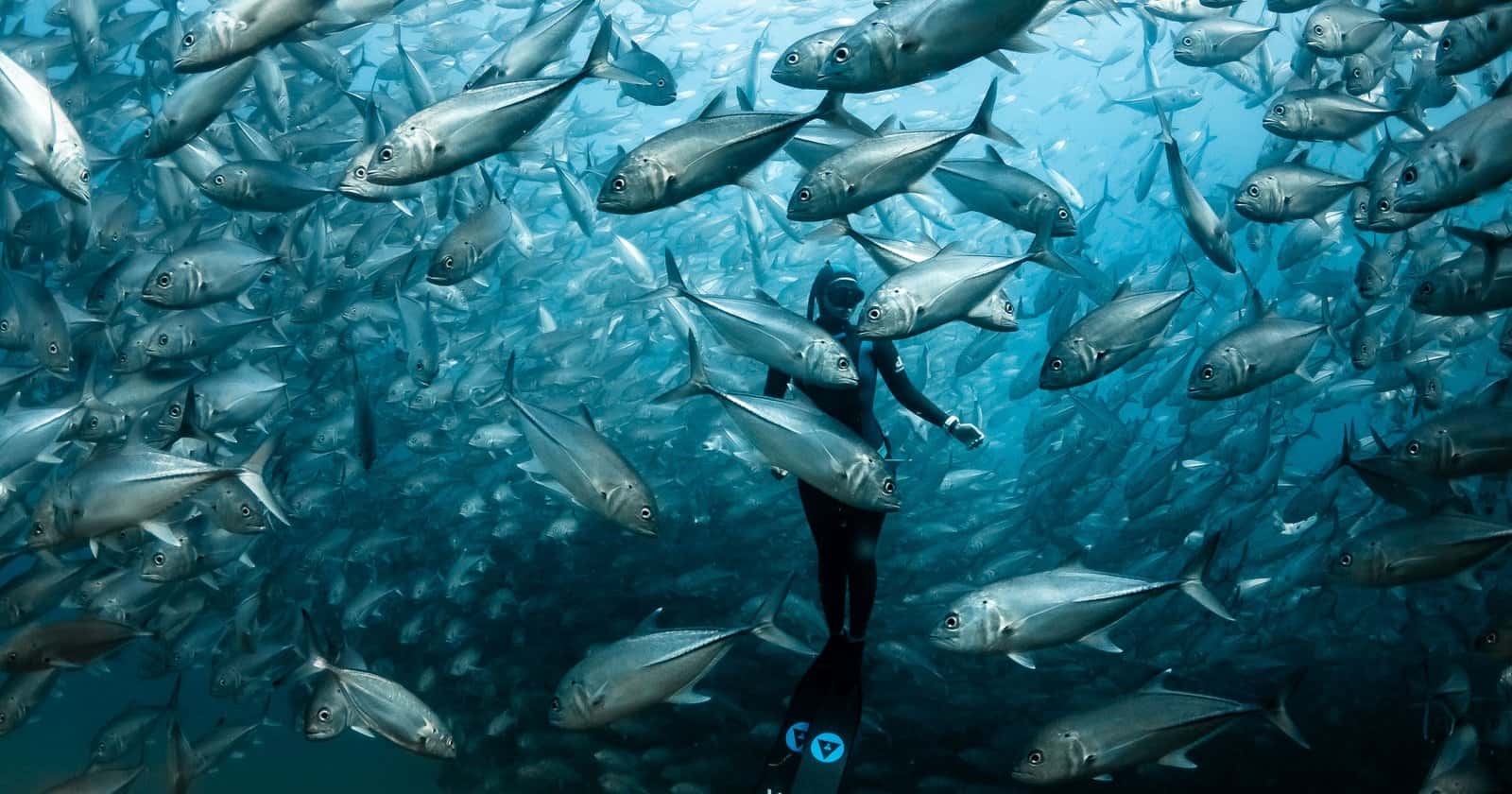 Freediving Explorations