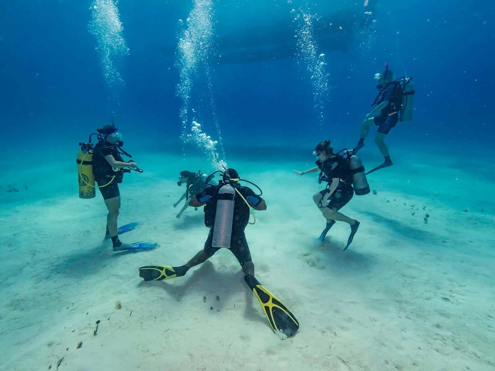 Punta Cana Scuba Diving By El Tour Caribe — photo 2