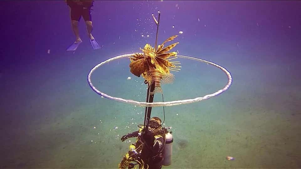 Aqua Adventures by Scuba Dive Sosua