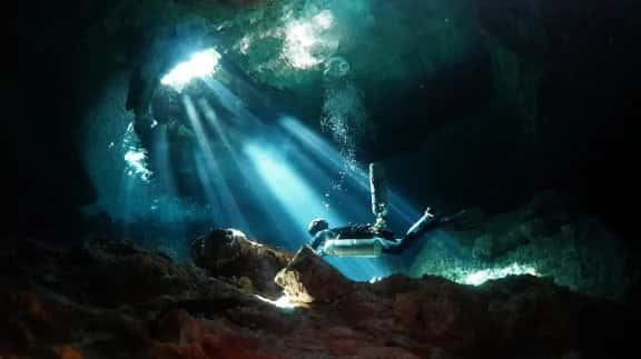Dive Dominicana — photo 3