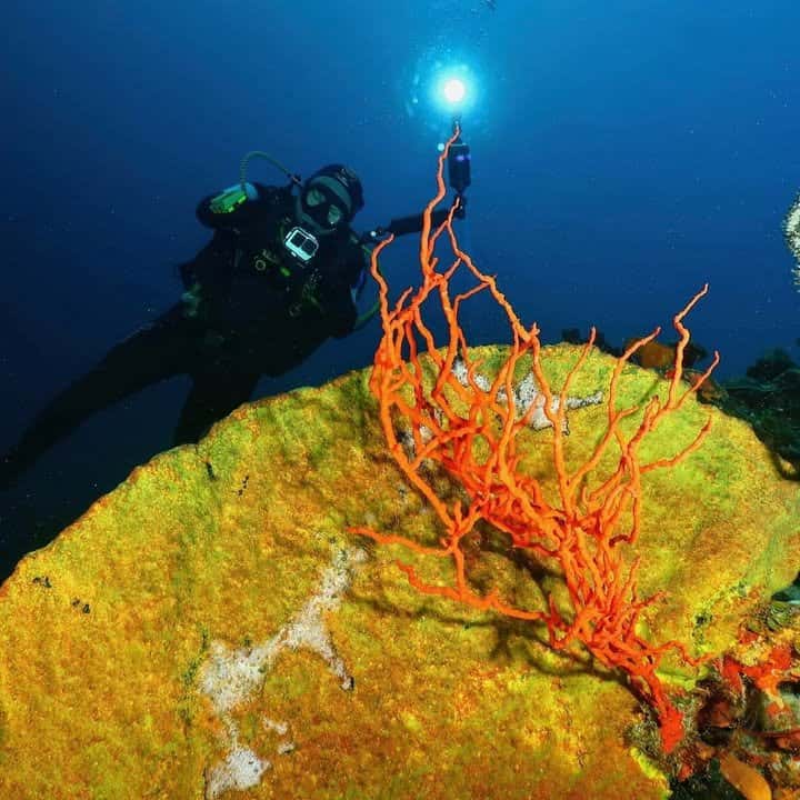 Barracuda Diving Center