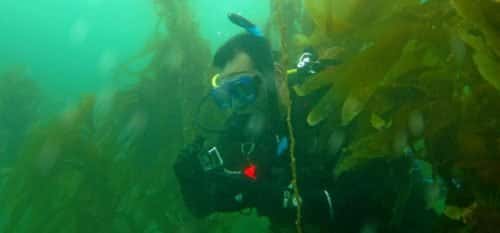 Scuba San Diego — photo 4