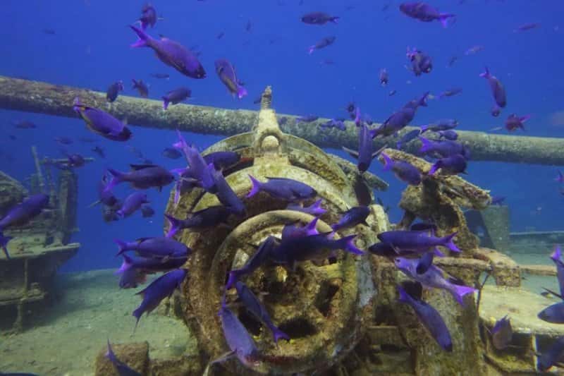 Sport Divers of Houston