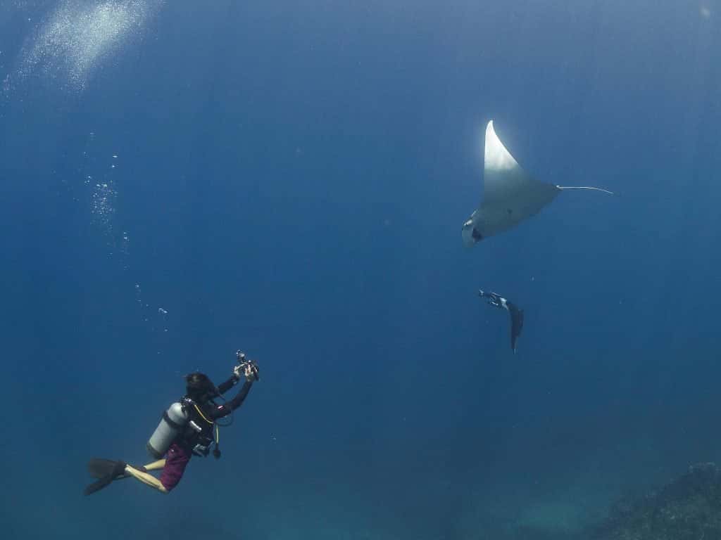 Costa Rica Dive and Surf — photo 2