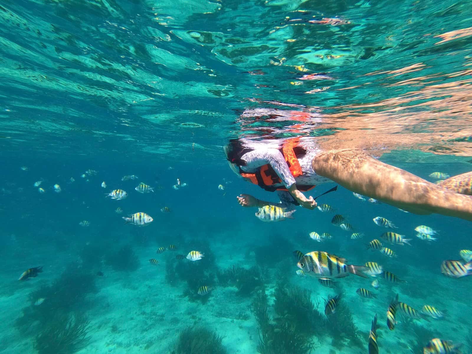 Casa del Buceo