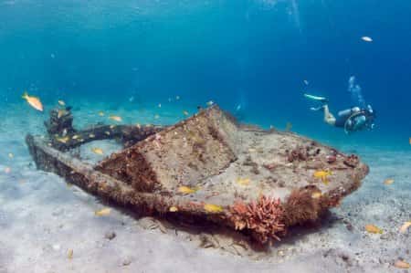 Neptune's Scuba Academy — photo 3