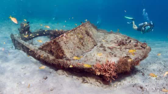 Neptune's Scuba Academy — photo 2