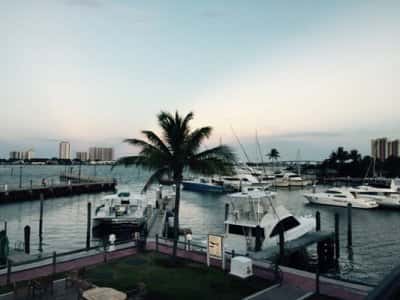 Neptune's Scuba Academy — photo 4