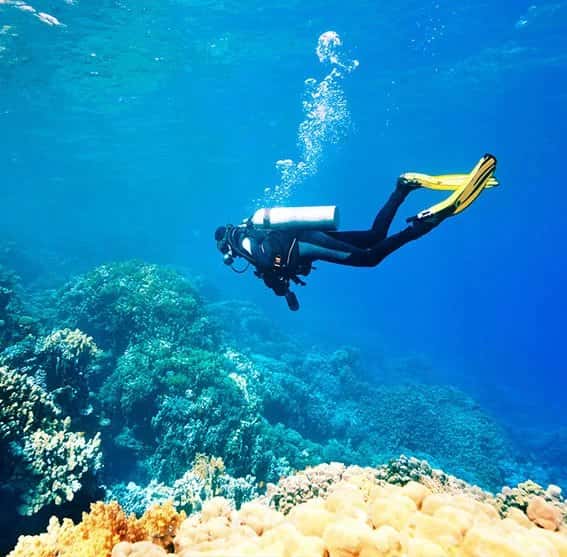Reel 1 Up Fish & Dive Charters